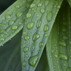 achbed's profile picture. 