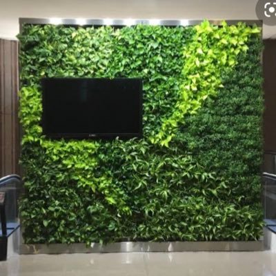 Green walls bussines