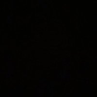Trae Young (@thetraeyoung) 's Twitter Profile