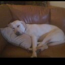 Kenneth Boll - @kenboll - Twitter