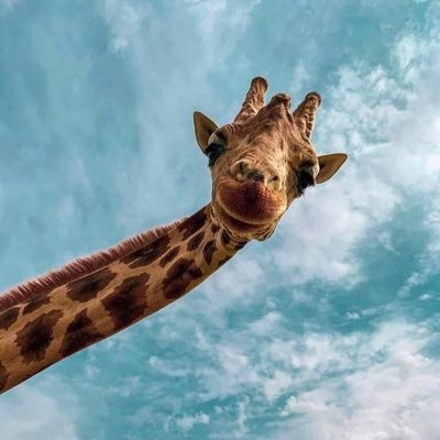 DMB85163089's profile picture. Views are my own