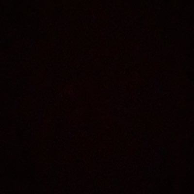 Lilcoat1's profile picture. Work for a cause, not for applause: live to express, not to impress