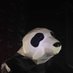 2024 (@eyv2ai6mgonv7xb) Twitter profile photo 2024 (@eyv2ai6mgonv7xb) Twitter profile photo