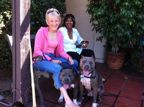 Animal behaviorist in Los Angeles who also works with shelters and rescues to save at risk animals.