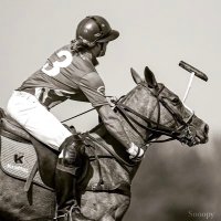 August “Gussie” Busch (@gussiebusch7) 's Twitter Profile Photo