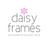 daisyframes's profile image