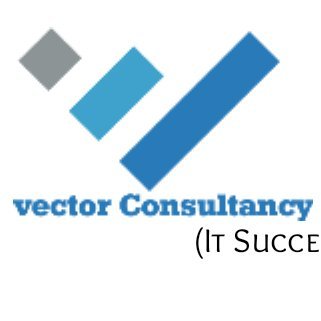 Vector Consultancy Profile