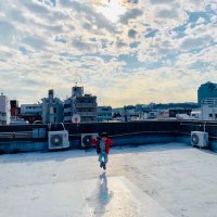 ふくはらまさずみ (@masazumiolive) 's Twitter Profile Photo ふくはらまさずみ (@masazumiolive) 's Twitter Profile Photo