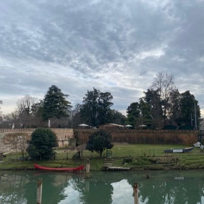 Alex55736421's profile picture. 