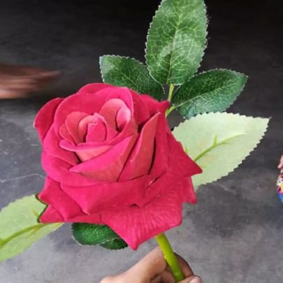 4KOfP6A5i9sXURx's profile picture. indian