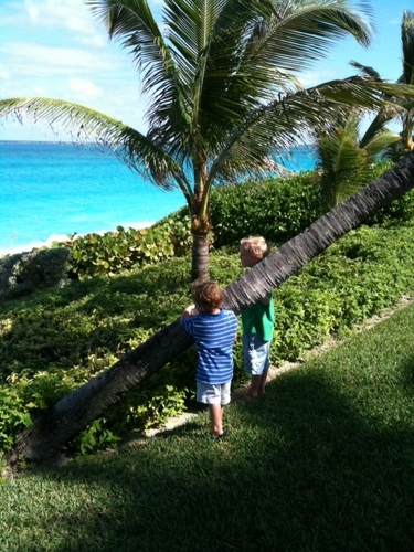 bomontana's profile picture. 