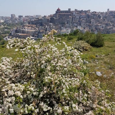 Vico del Gargano, in Puglia, è uno de I Borghi più belli d'Italia. L'account che promuove il paese