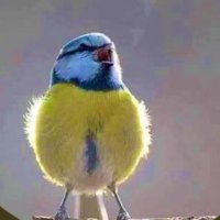 Paytak (@paytakgezer) Twitter profile photo