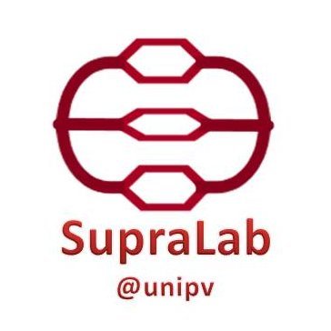 Associate Professor - Department of Chemistry - University of Pavia (Italy) Supramolecular Chemistry - Molecular recognition for sensing & separation processes