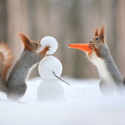 stillokie's profile picture. Hello, Your account is now unlocked, and we’re sorry for the inconvenience. Inconvenience sometimes happens! #TrumpThis