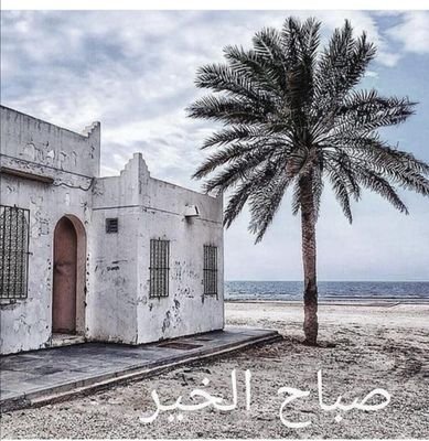 hassan55133065's profile picture. الناس صنفان اما اخ لك في الدين او نظير لك في الخلق