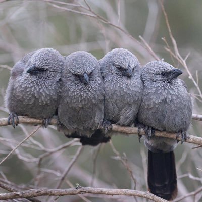 Wooseag's profile picture. 