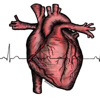 中村康雄 (@yasuonakamu) 's Twitter Profile Photo