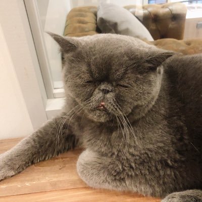masyuda113's profile picture. 