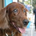 Maria Owens - @mmo1022 - Twitter