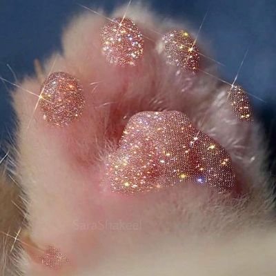 ___sofrita's profile picture. empezadora de libros y repetidora de series.