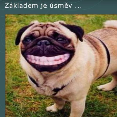 hesspavelsezna1's profile picture. levaPH55