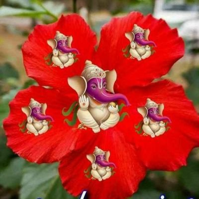 Jyoti52549446's profile picture. easy going