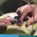 ULHT Neonatal Services (@neonatalulht) Twitter profile photo ULHT Neonatal Services (@neonatalulht) Twitter profile photo