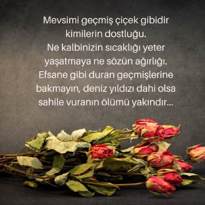 Selman47883525's profile picture. Bu melek ruhlu Sâliharin vermiş olduğu ızdırap tüm sıkıntılarmızı unutturd.Adil olan Rabbim den duam ve temenimTez zamanda özgür eylesin Kalblerine inşirah vers