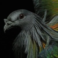 Quintin (@quintin_apoth) 's Twitter Profile