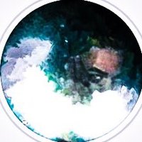illHound (@barkhertree) 's Twitter Profile