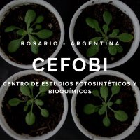 CEFOBI-CONICET-UNR(@CEFOBI_CONICET) 's Twitter Profile Photo