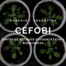 CEFOBI_CONICET's profile picture. Centro de Estudios Fotosintéticos y Bioquímicos.
Centre of Photosynthetic and Biochemical Studies. 
CEFOBI - CONICET- UNR.