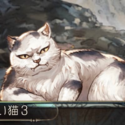 こりゃうさんのプロフィール画像