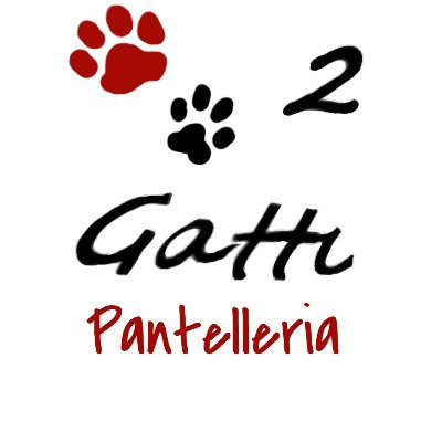 dammusi 2 Gatti