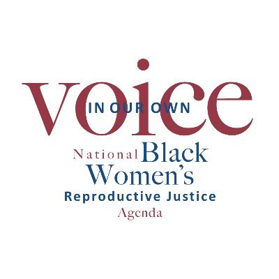 ✊🏿Lifting up the voices of Black women ✊🏾 Fighting for Reproductive Justice ✊🏽 Educating the NextGen of RJ leaders | Find us on Instagram: @blackwomensrj