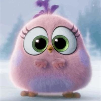 angrybird961_lb Profile Picture