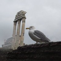 Classical Studies@University of Winchester(@uowclassics) 's Twitter Profile Photo