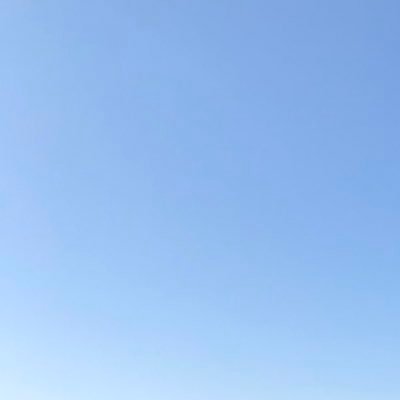 ynishida2264's profile picture. 犬飼っています。