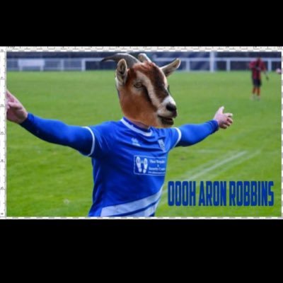 OohRobins's profile picture. Aaron Robins