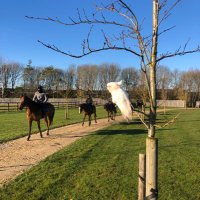 Robert Cowell (@cowellracing) 's Twitter Profile