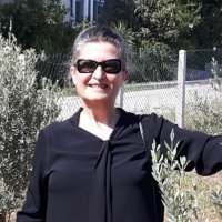 yaşar sarıkaya(@Ayasarsarikaya) 's Twitter Profile Photo