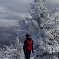 Тамирын голын хүн 🐦 (@002mgl) 's Twitter Profile Photo Тамирын голын хүн 🐦 (@002mgl) 's Twitter Profile Photo