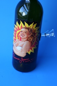 WinoBongo's profile picture. I'm basically the 6'3 male version of Martha Stewart...with less money and fewer arrests. Wine bottle glass water pipes, wine bottle lamps...

winobongo.com