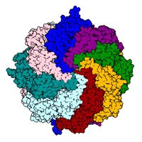 Frydman Lab(@FrydmanLab) 's Twitter Profile Photo