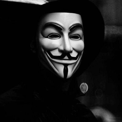 We are anonymous we are legion we do not forgive we do not forget expect us