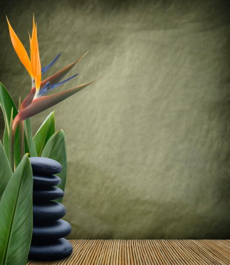 Lancekaren's profile picture. Live on the beautiful Sunshine Coast in Queensland Australia.  Into home decor and home renovation.  Keep up to date with home decorating styles and tips.