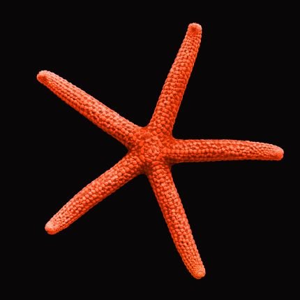 lucyemmafirth's profile picture. 