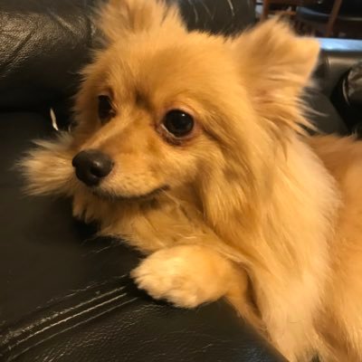 bayacollector's profile picture. その辺のエンジニア 42Tokyo