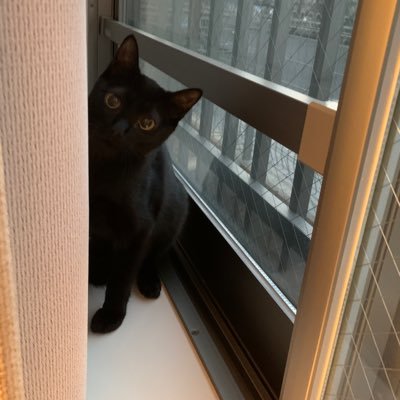 黒猫の下僕 Psfaulcmfslgxm5 Twitter 黒猫の下僕 Psfaulcmfslgxm5 Twitter